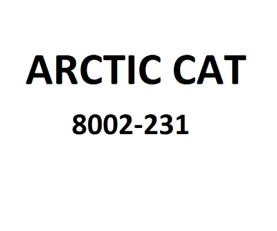 Болт Arctic Cat 8002-231