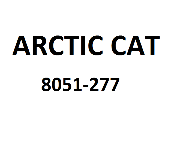 Шайба Arctic Cat 8051-277