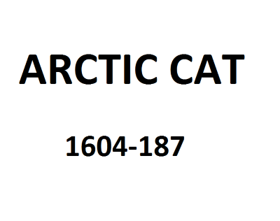 Шайба Arctic Cat 1604-187