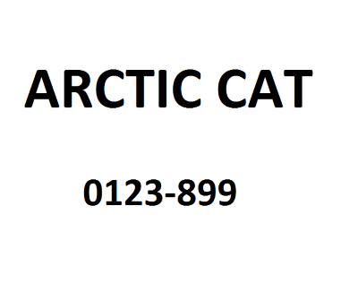Шайба Arctic Cat 0123-899