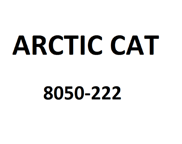 Шайба Arctic Cat 8050-222