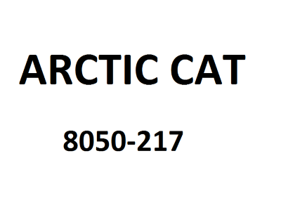 Шайба Arctic Cat 8050-217