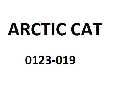 Шайба Arctic Cat 0123-019