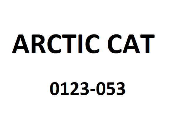 Шайба Arctic Cat 0123-053