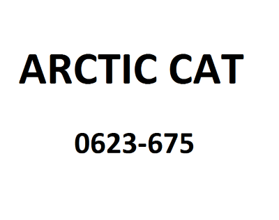 Шайба Arctic Cat 0623-675