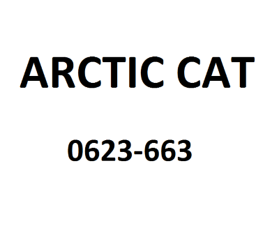 Шайба Arctic Cat 0623-663