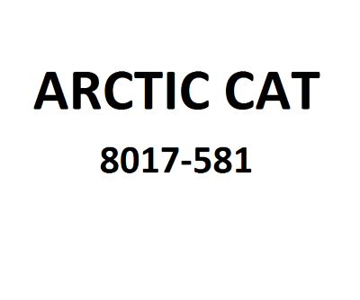 Болт Arctic Cat 8017-581
