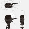 Лодочный мотор Tohatsu MFS30D S 4T